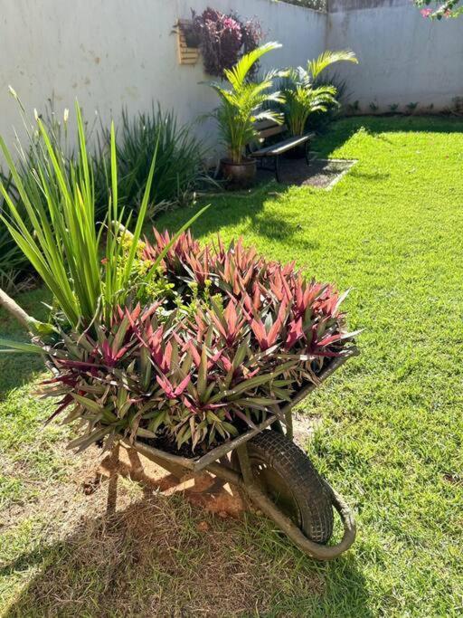 Casa Jardim Eliza Apartamento Foz do Iguaçu